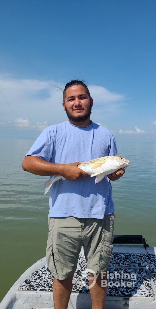 Palacios Report Photo 0