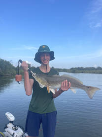 Palacios Report Photo 2