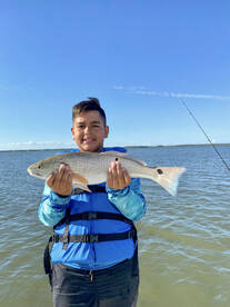 Beaufort Report Photo 2