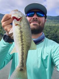 Chattanooga Report Photo 1