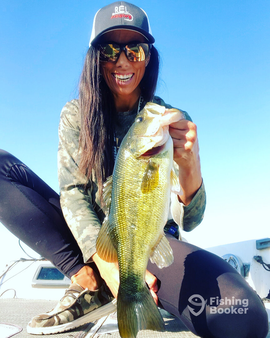 Mound Report Photo 0