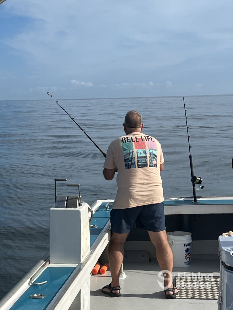 Virginia Beach Report Photo 0