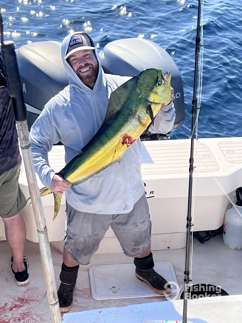 Huntington Beach Report Photo 0