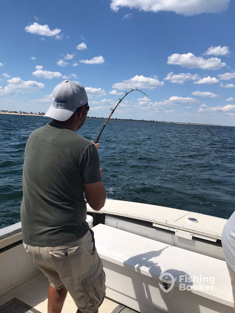 Newburyport Report Photo 0