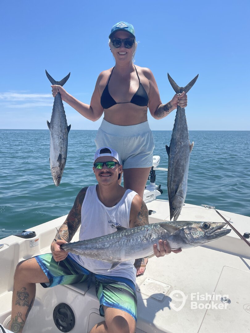 Nice Kingfish