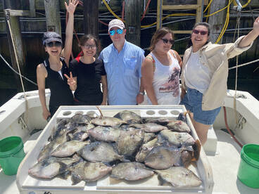 Highlands Report Photo 2