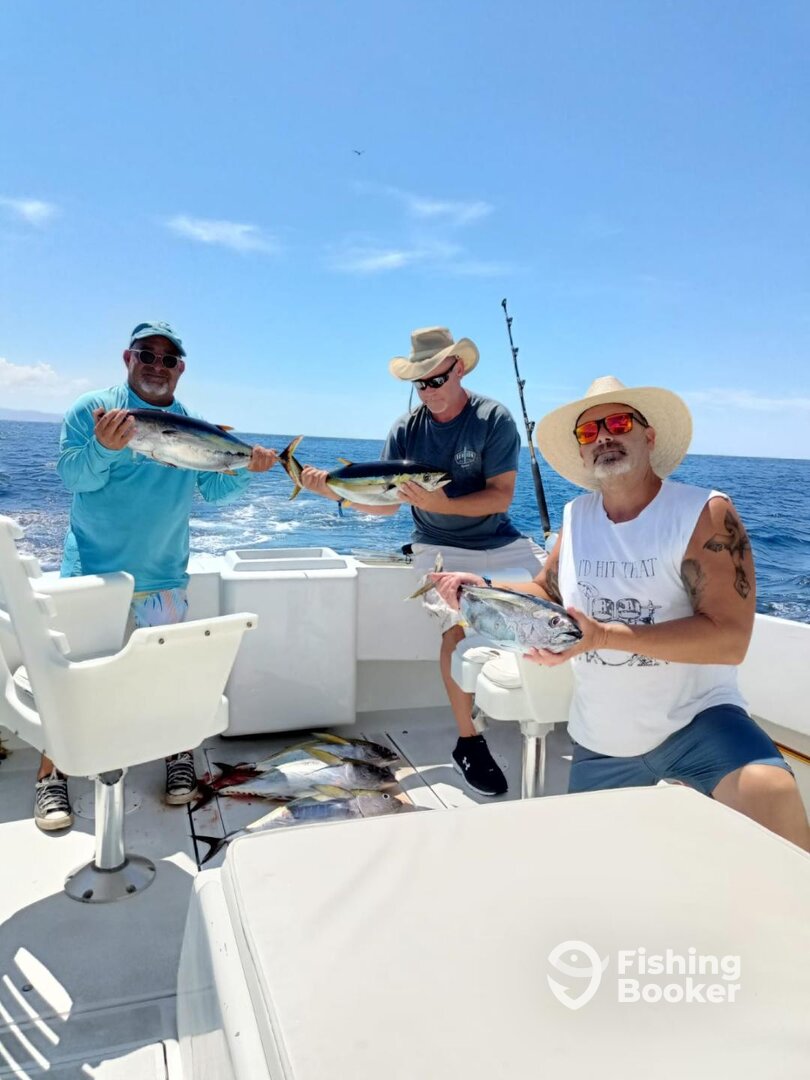 Cabo San Lucas Report Photo 0