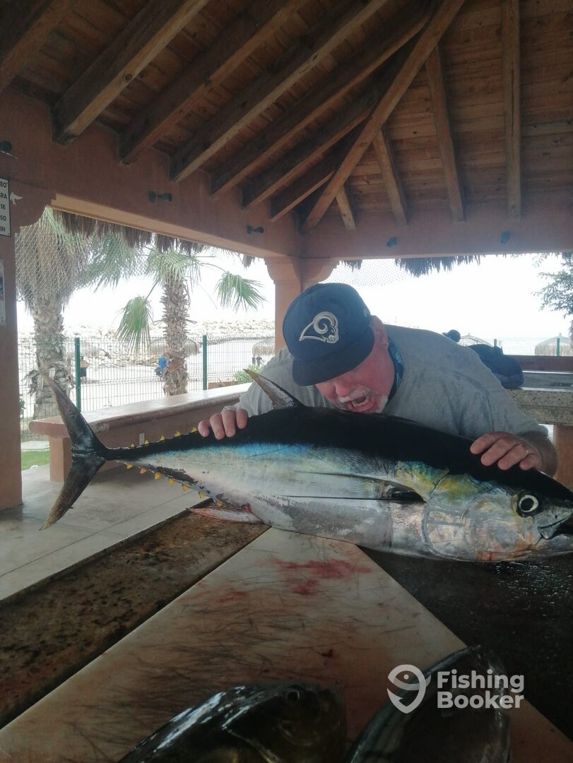 San Jose del Cabo Report Photo 0