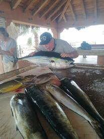 San Jose del Cabo Report Photo 1