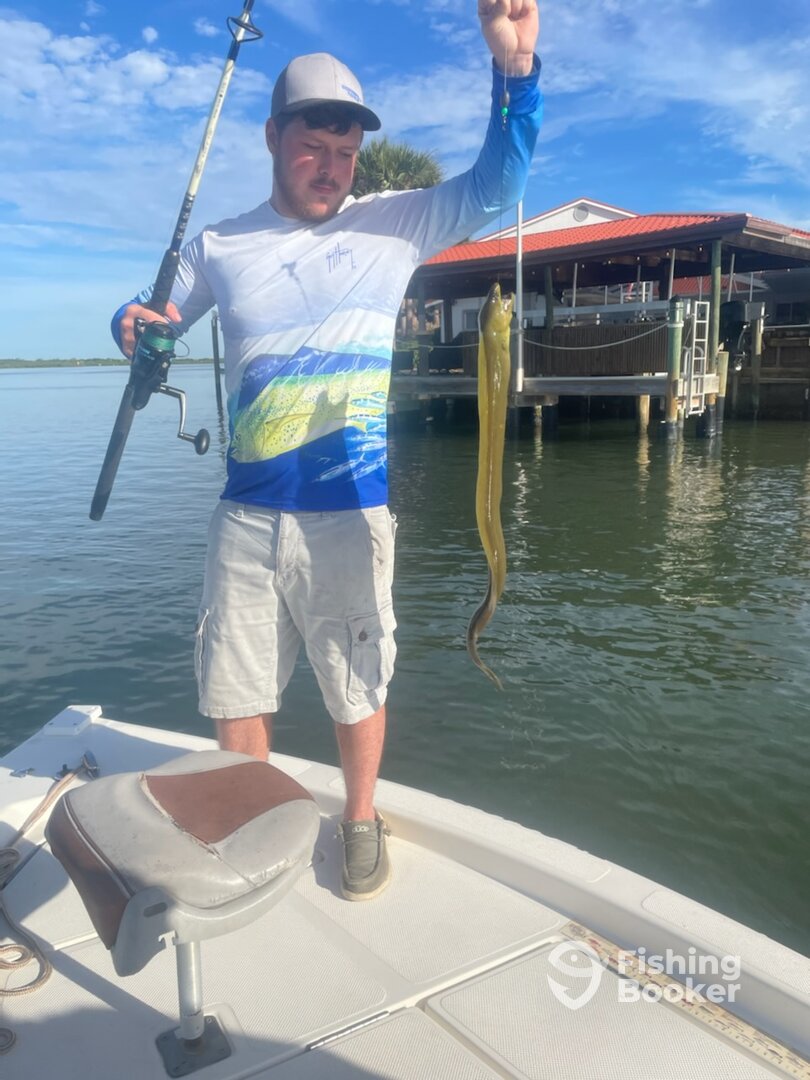 Port Orange Report Photo 0