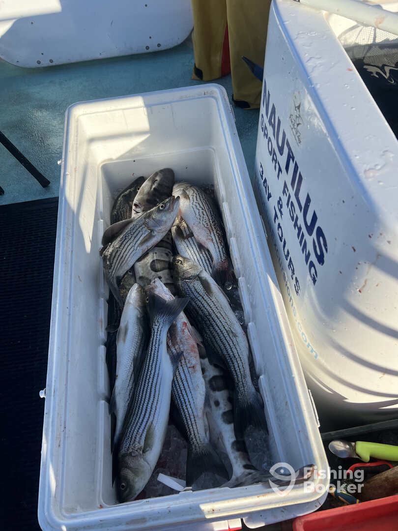 San Francisco Report Photo 0