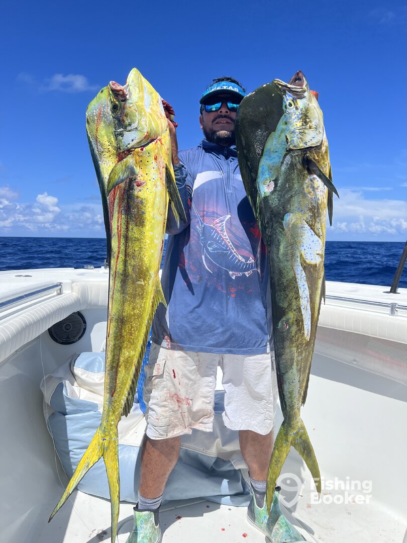 Marathon Report Photo 0