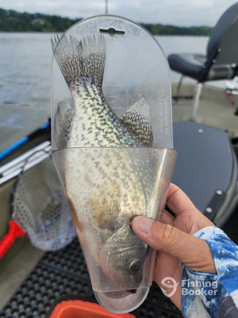 Harrison Report Photo 0