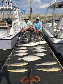 Wreck fishing was good today 