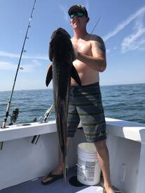 Norfolk Report Photo 2