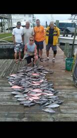 Full day bottom fishing aboard the Gale 