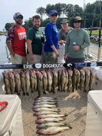 Fairview Report Photo 2