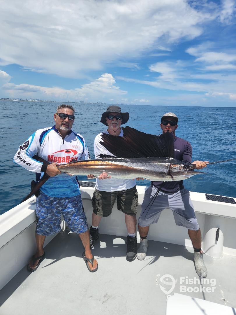 Dania Beach Report Photo 0