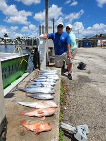 Dania Beach Report Photo 1