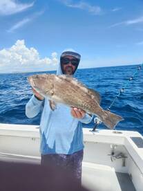 Dania Beach Report Photo 2