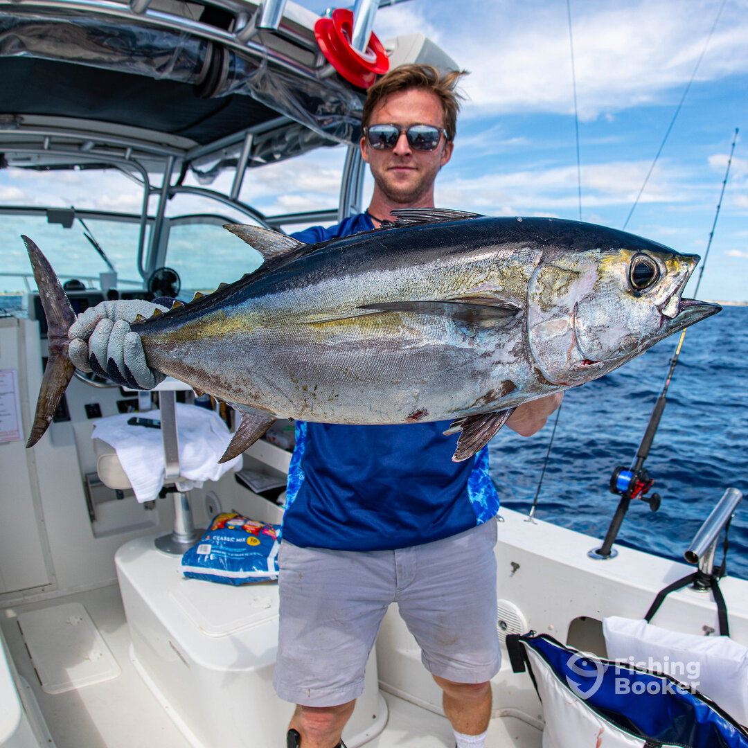 Galveston Report Photo 0