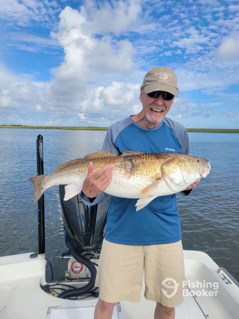 Barataria Report Photo 0