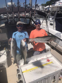 Hampton Bays Report Photo 2