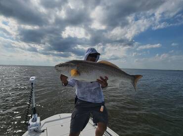 Labor Day Weekend Bulls!