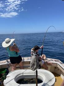 San Diego Report Photo 2