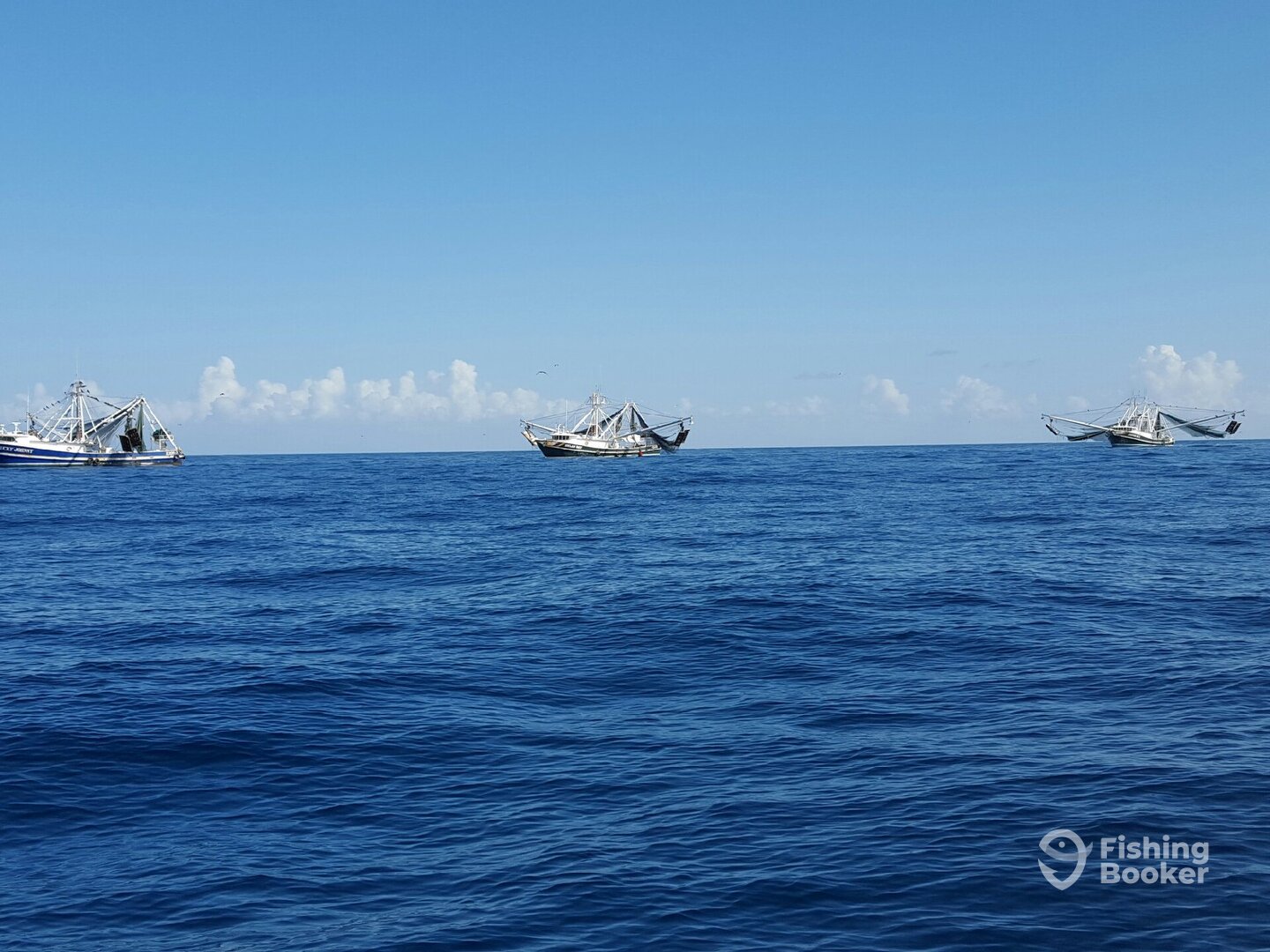 Freeport Report Photo 0