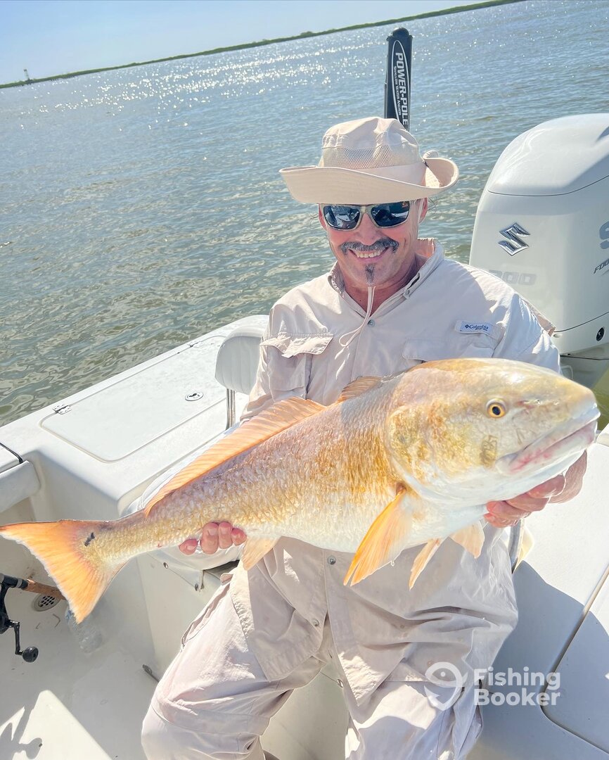 Venice Report Photo 0