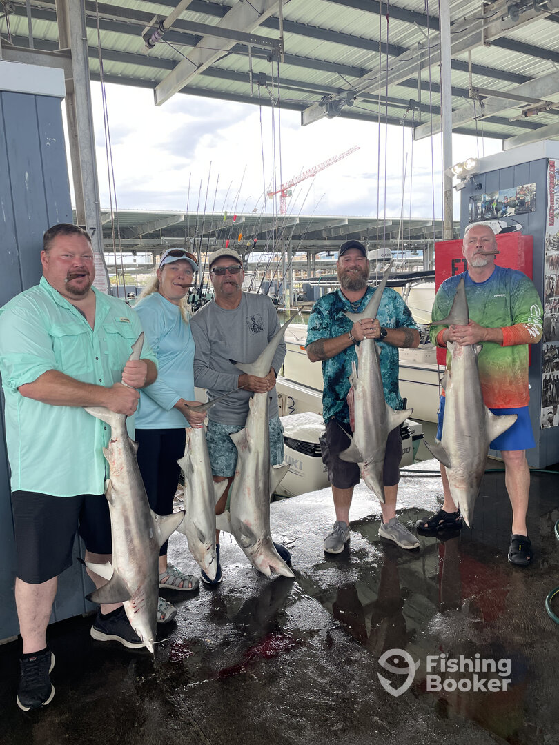 Galveston Report Photo 0