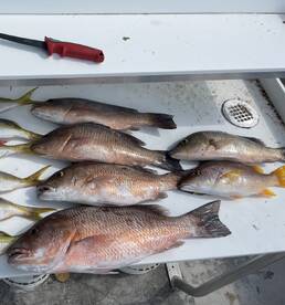 Key West Report Photo 1