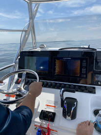 Chesapeake Fall fishing!