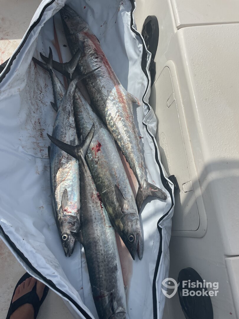 St. Augustine Report Photo 0