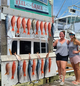 Bull Mingos and White Snappers