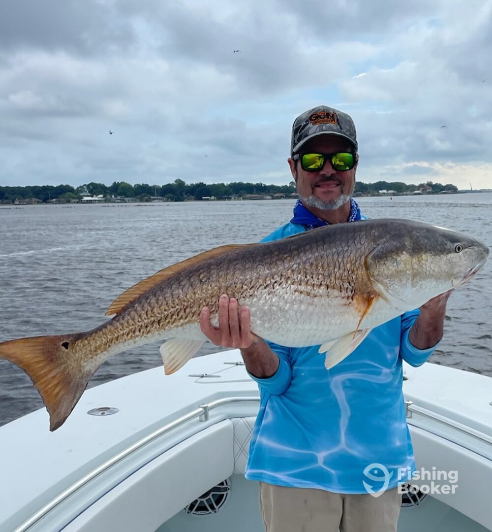 Jacksonville Report Photo 0