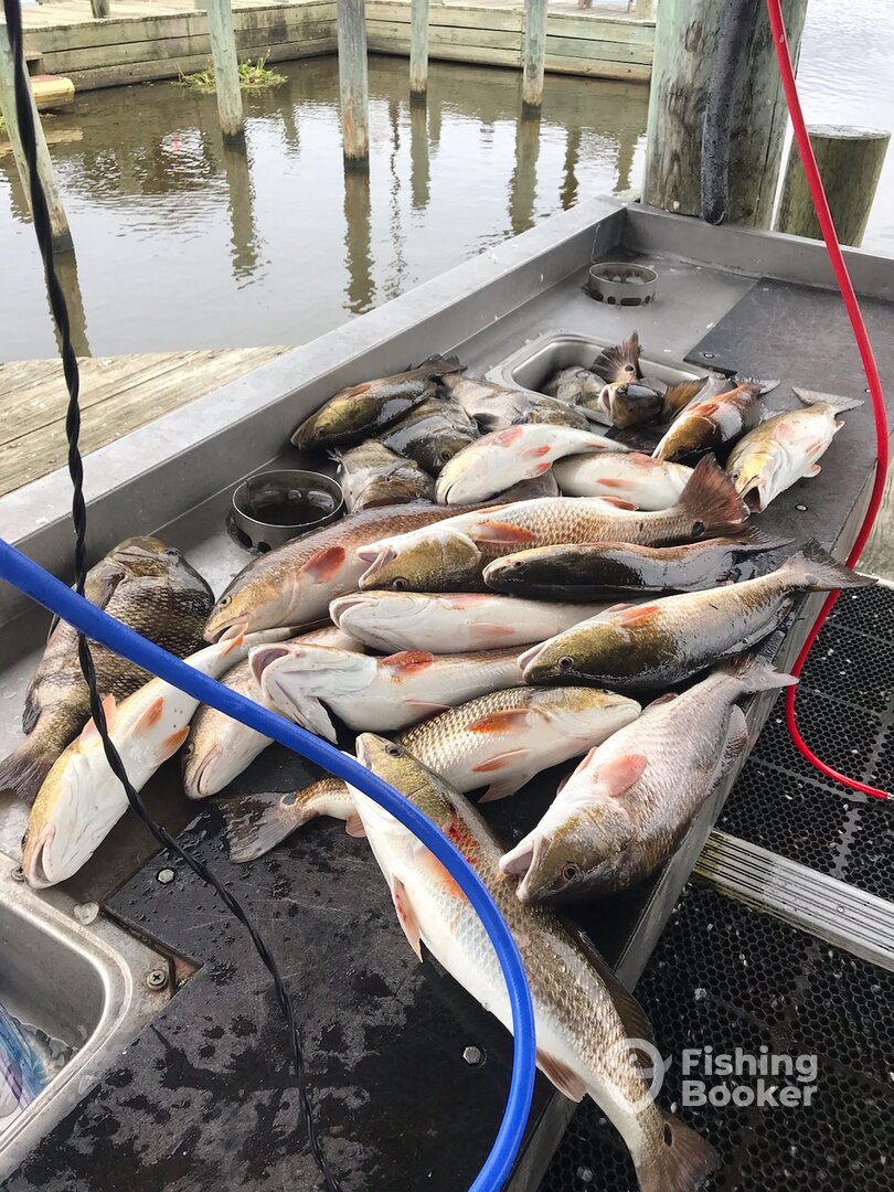 Sulphur Report Photo 0