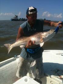 Ready for Bull Reds?