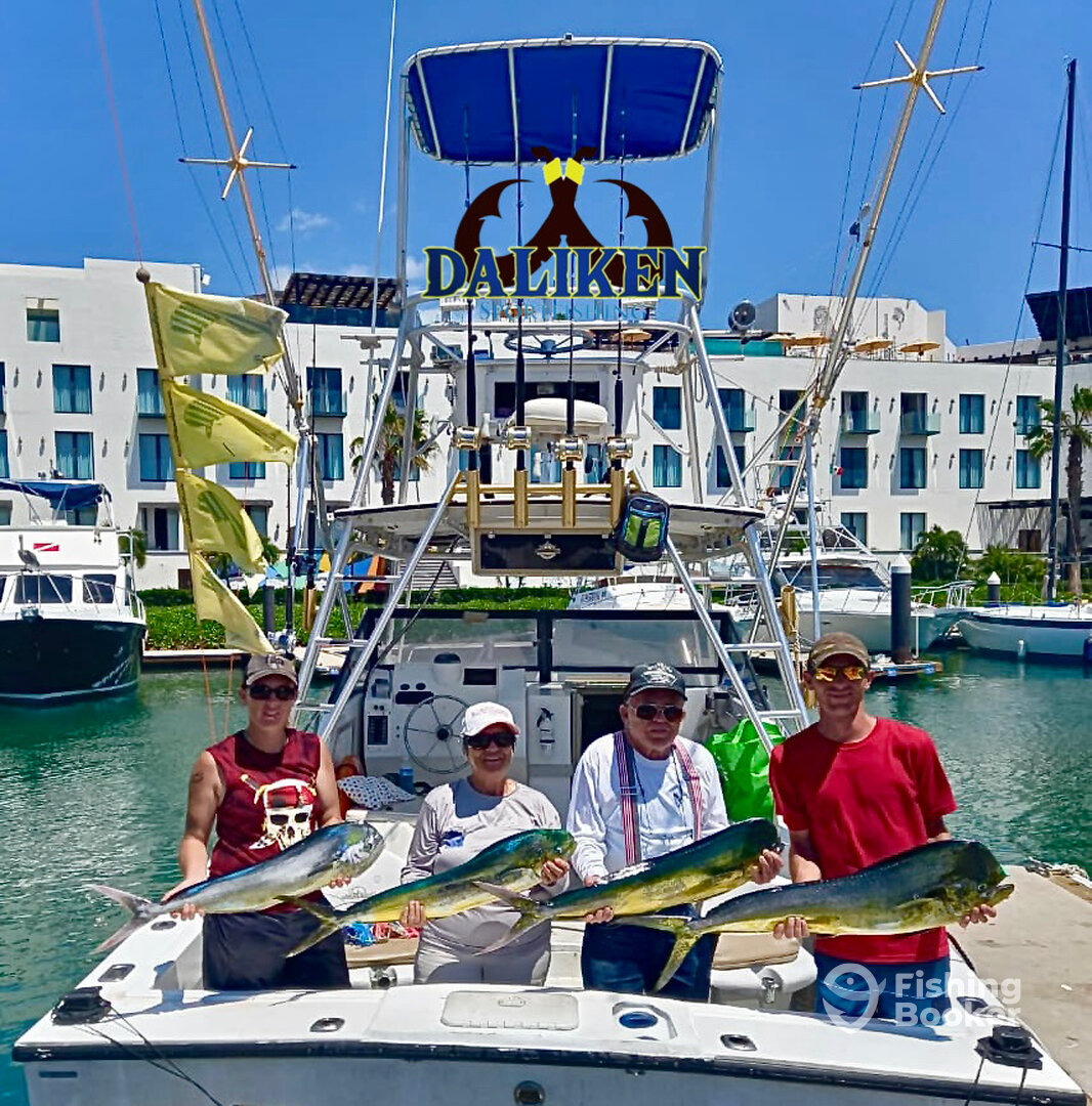 San Jose del Cabo Report Photo 0