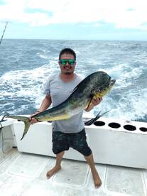 Puerto Vallarta Report Photo 2