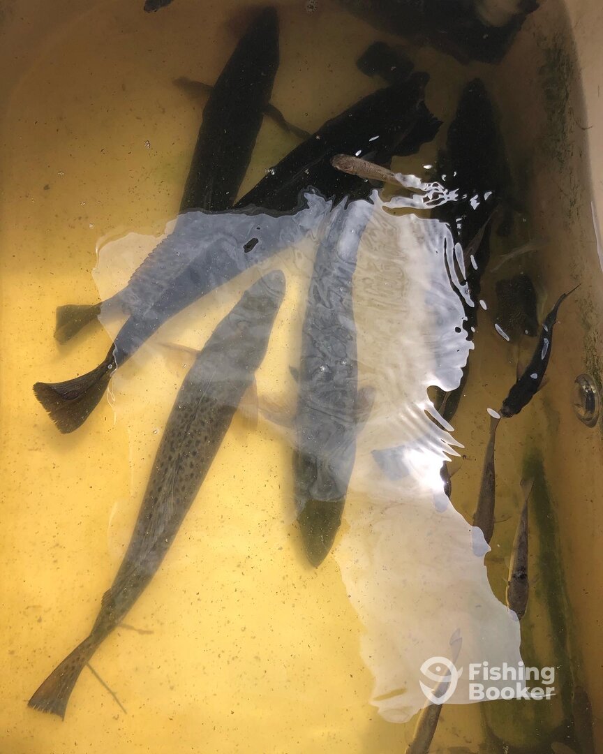 Jacksonville Report Photo 0