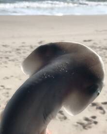 Best Beach Fishing!!!