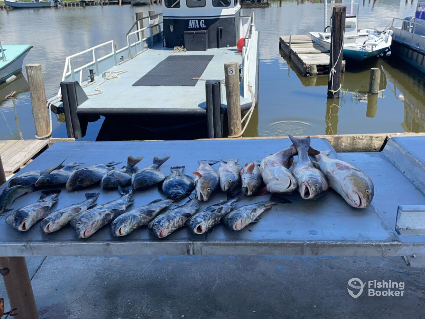 Lafitte Report Photo 0