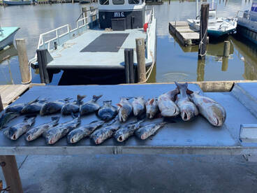 Fall Time is a Great Time!