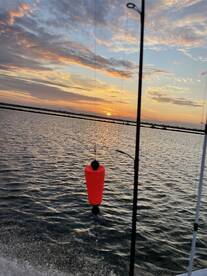 Lafitte Report Photo 2