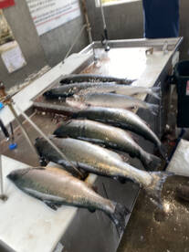 Some days the stars align and others you