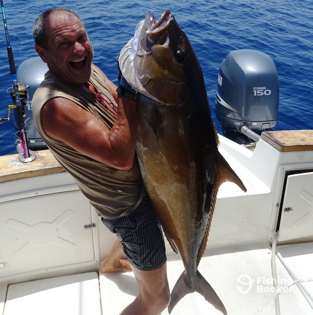 Big Amberjack , Maio Island
