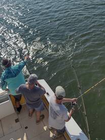 Wanchese Report Photo 2