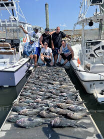 Sea Bass wreck fishing 